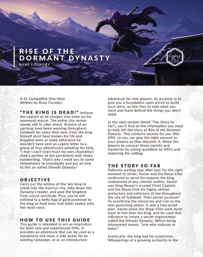 DnD One Shot Adventure for 5e, Rise of the Dormant Dynasty by Rune Foundry
